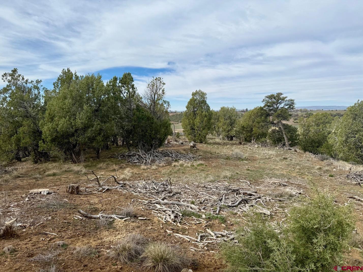 2543 Wrangler Way Durango, CO 81303 - Photo 14 of 29 a view of a field with trees in background