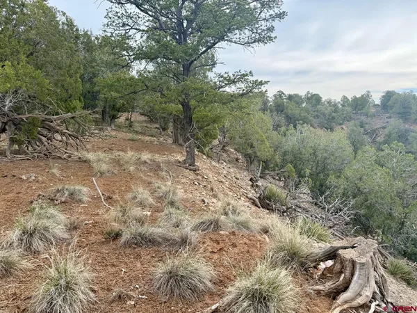 $319,000 | 2543 Wrangler Way, Durango, CO 81303
