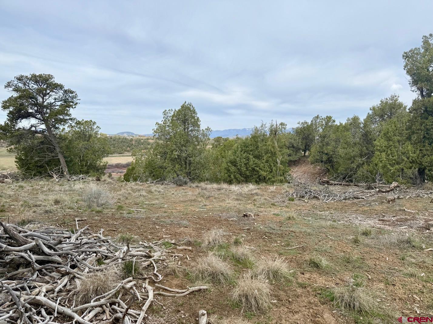 2543 Wrangler Way Durango, CO 81303 - Photo 19 of 29 a view of a dry yard with trees