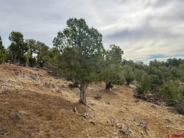 $319,000 | 2543 Wrangler Way, Durango, CO 81303