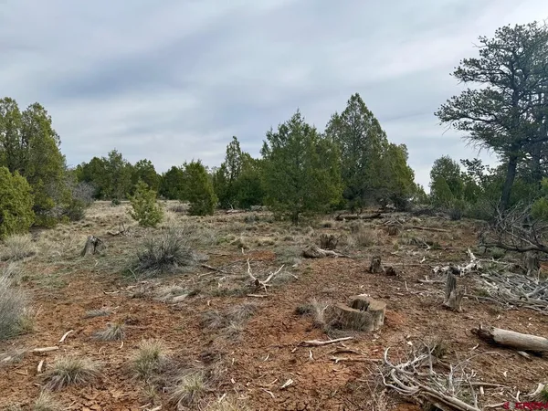 $319,000 | 2543 Wrangler Way, Durango, CO 81303