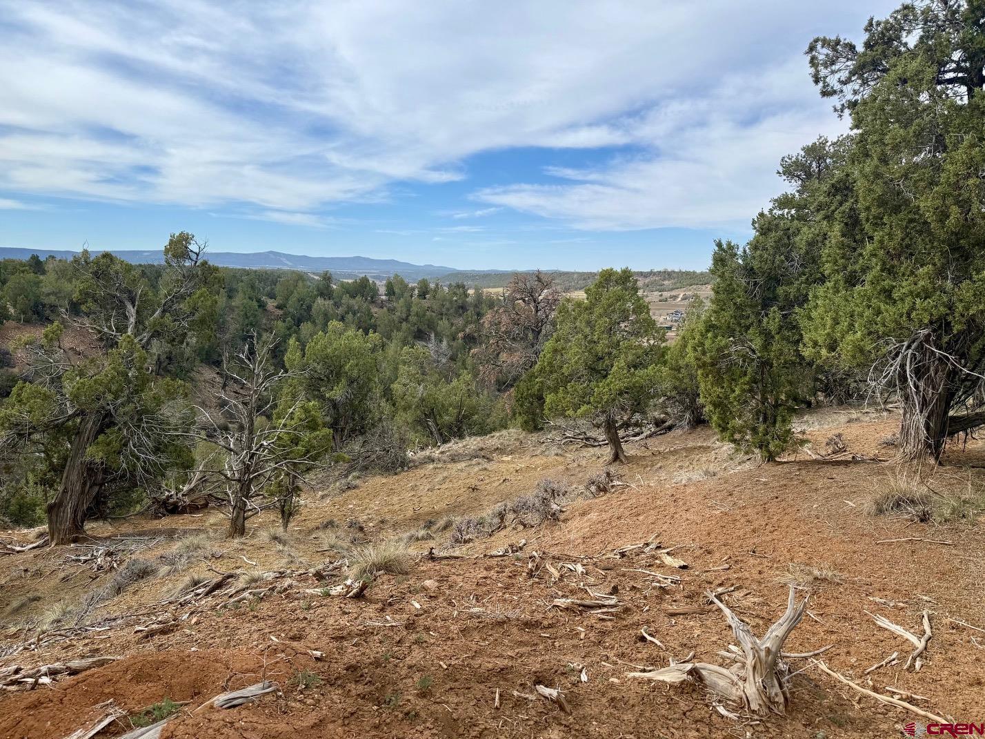 2543 Wrangler Way Durango, CO 81303 - Photo 22 of 29 a view of a forest with trees in the background