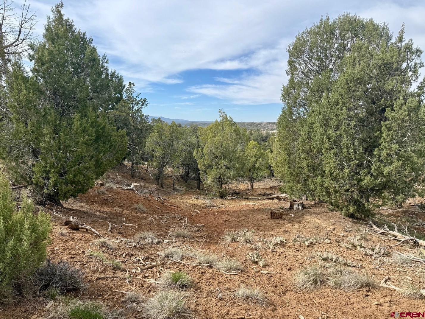 2543 Wrangler Way Durango, CO 81303 - Photo 23 of 29 a view of a yard with a tree