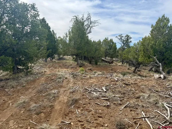 $319,000 | 2543 Wrangler Way, Durango, CO 81303