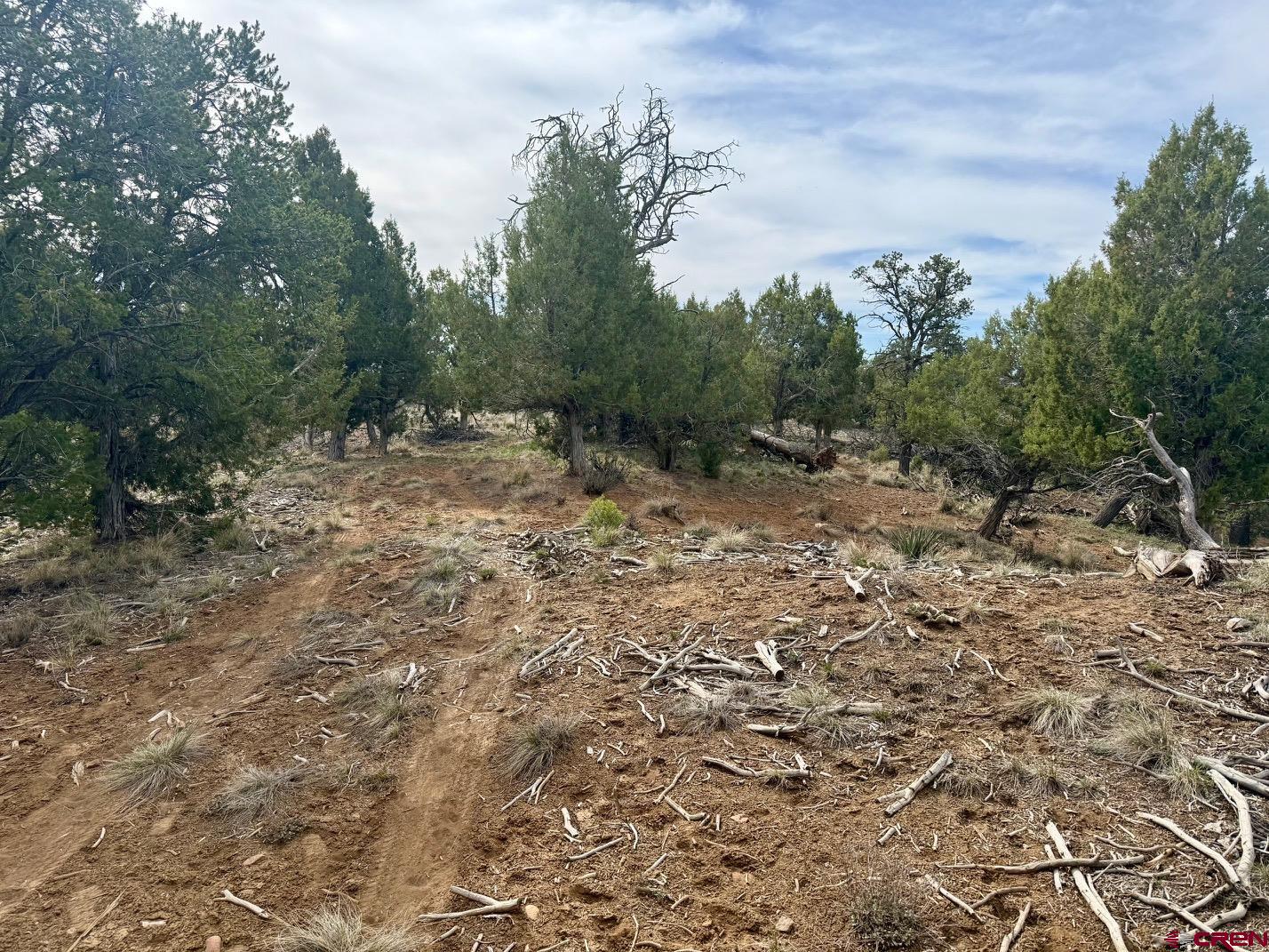 2543 Wrangler Way Durango, CO 81303 - Photo 24 of 29 a view of a yard with trees in the background