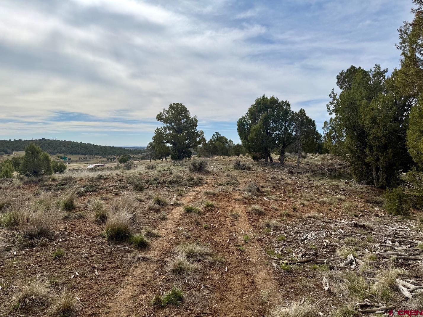 2543 Wrangler Way Durango, CO 81303 - Photo 25 of 29 a view of a field