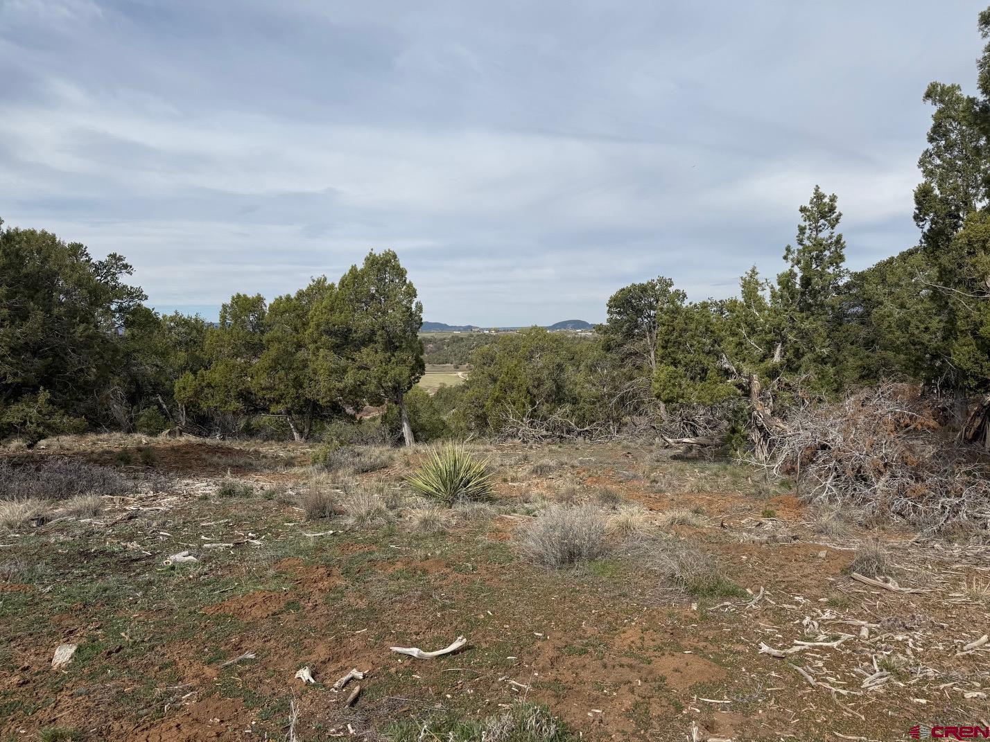 2543 Wrangler Way Durango, CO 81303 - Photo 26 of 29 a view of a field