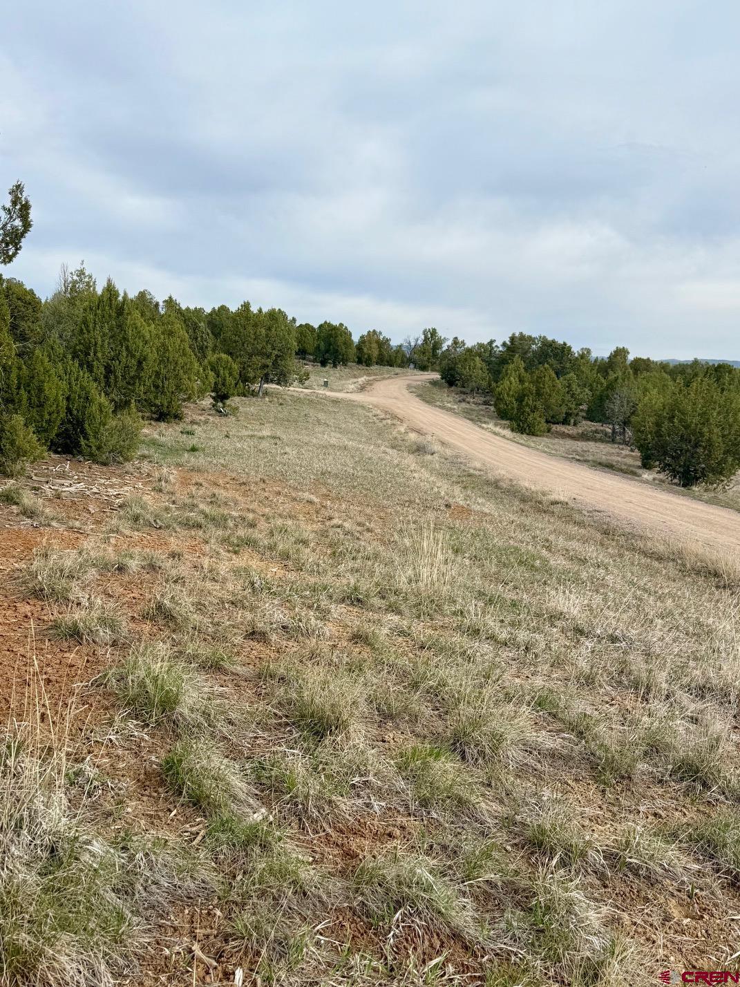 2543 Wrangler Way Durango, CO 81303 - Photo 5 of 29 a view of a field with trees in background
