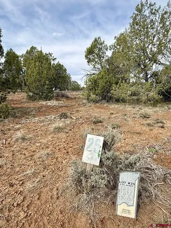 $319,000 | 2543 Wrangler Way, Durango, CO 81303