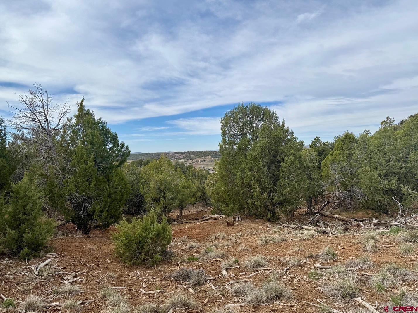 2543 Wrangler Way Durango, CO 81303 - Photo 8 of 29 a view of a forest with trees in the background