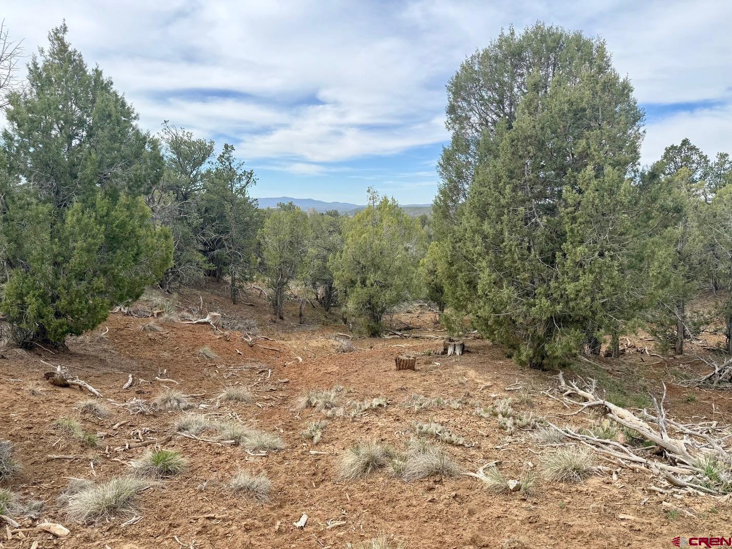 2543 Wrangler Way Durango, CO 81303 - Photo 10 of 29 a view of a forest with trees in the background