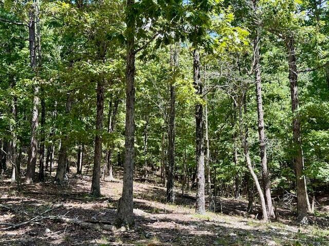 16444 Freedom Road Willow Springs, MO 65793 - Photo 45 of 51 20250819220458737586000000-o