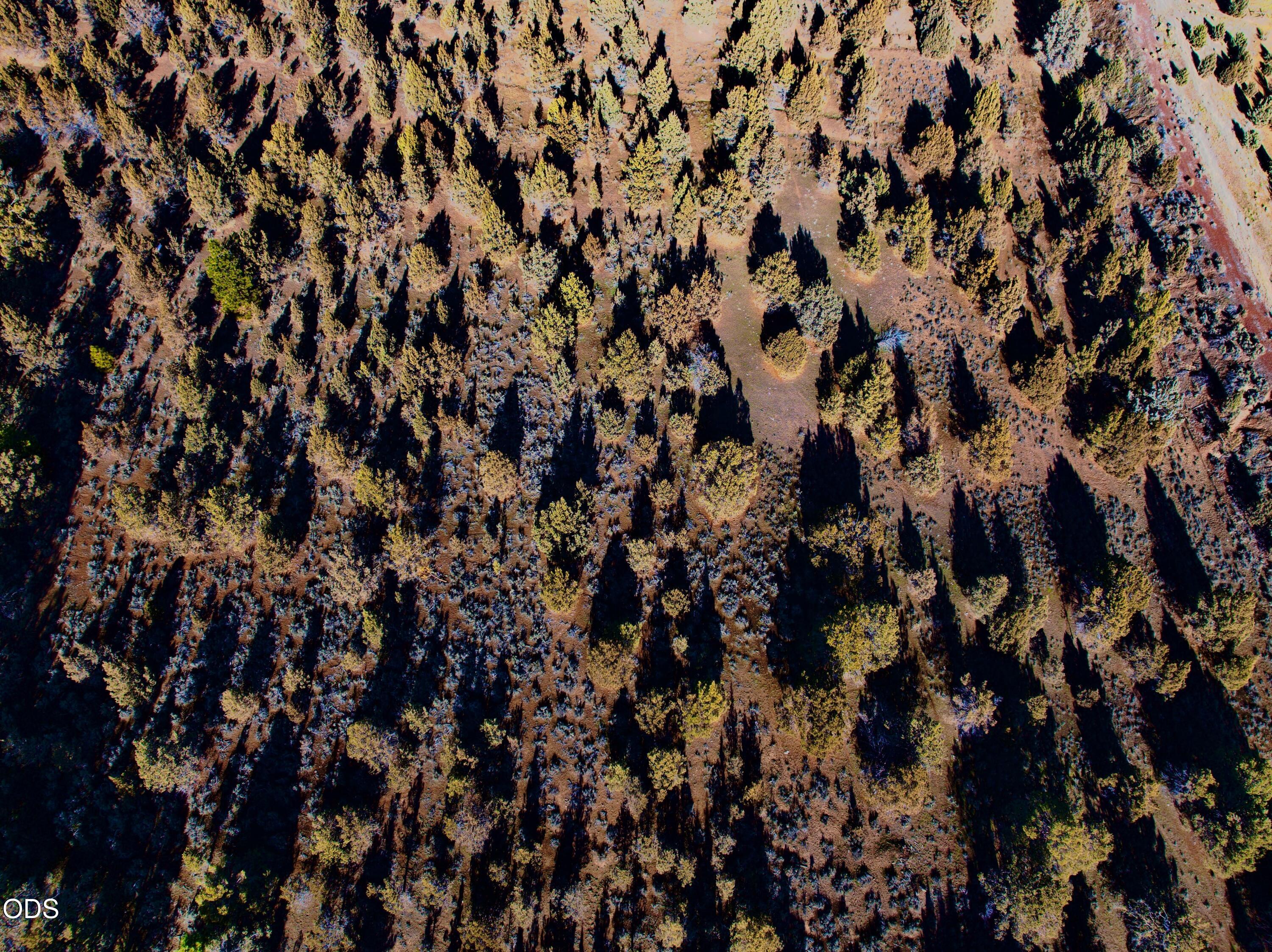 0 Bear Valley Road Klamath Falls, OR 97603 - Photo 5 of 8