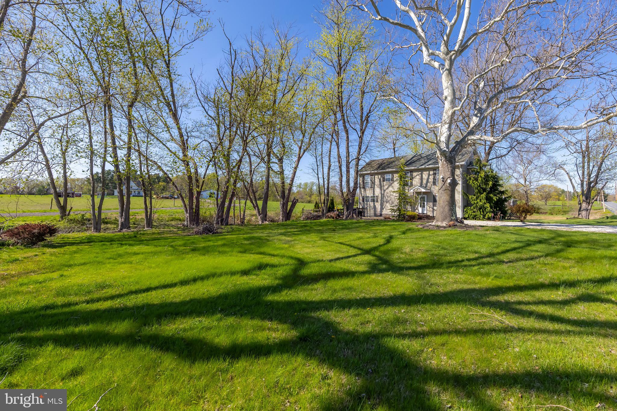 578 Eldridges Hill Road Pilesgrove, NJ 08098 - Photo 20 of 20 a garden view with trees