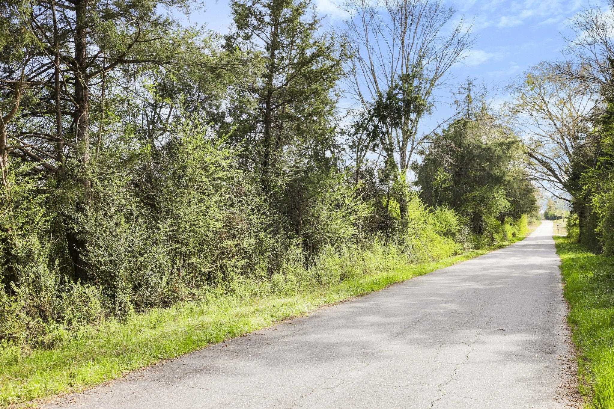 0 New Hope Church Road Enoree, SC 29335 - Photo 12 of 26