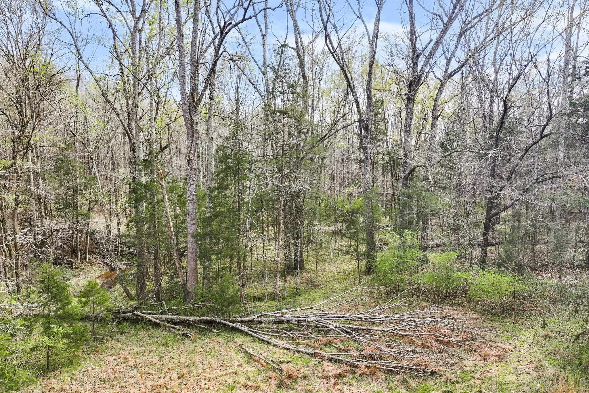 0 New Hope Church Road Enoree, SC 29335 - Photo 18 of 26