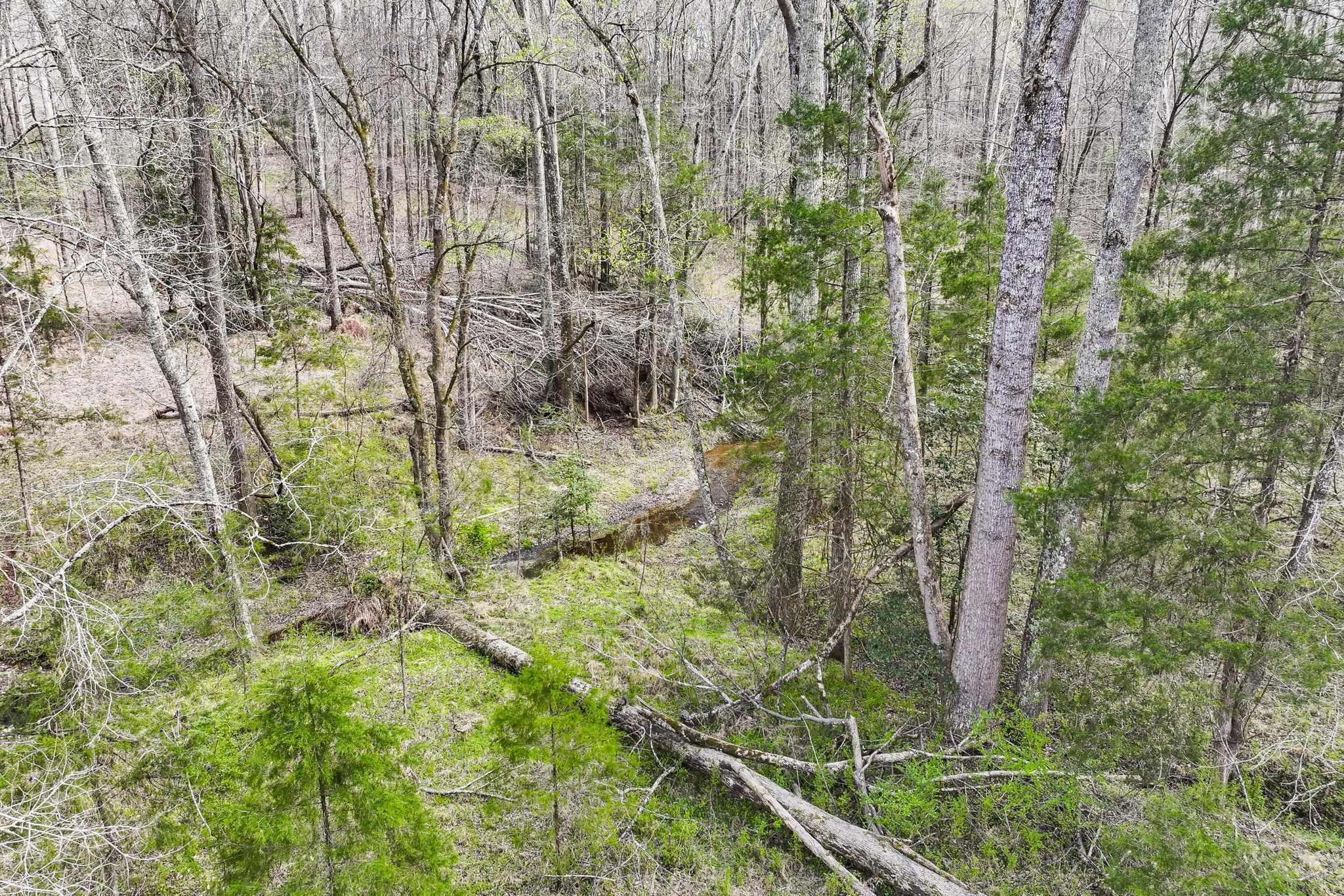 0 New Hope Church Road Enoree, SC 29335 - Photo 19 of 26