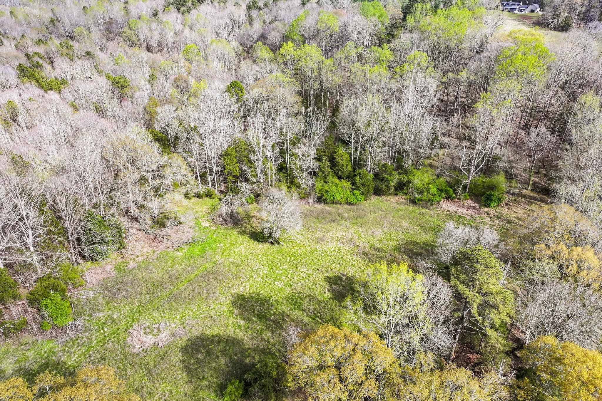 0 New Hope Church Road Enoree, SC 29335 - Photo 23 of 26