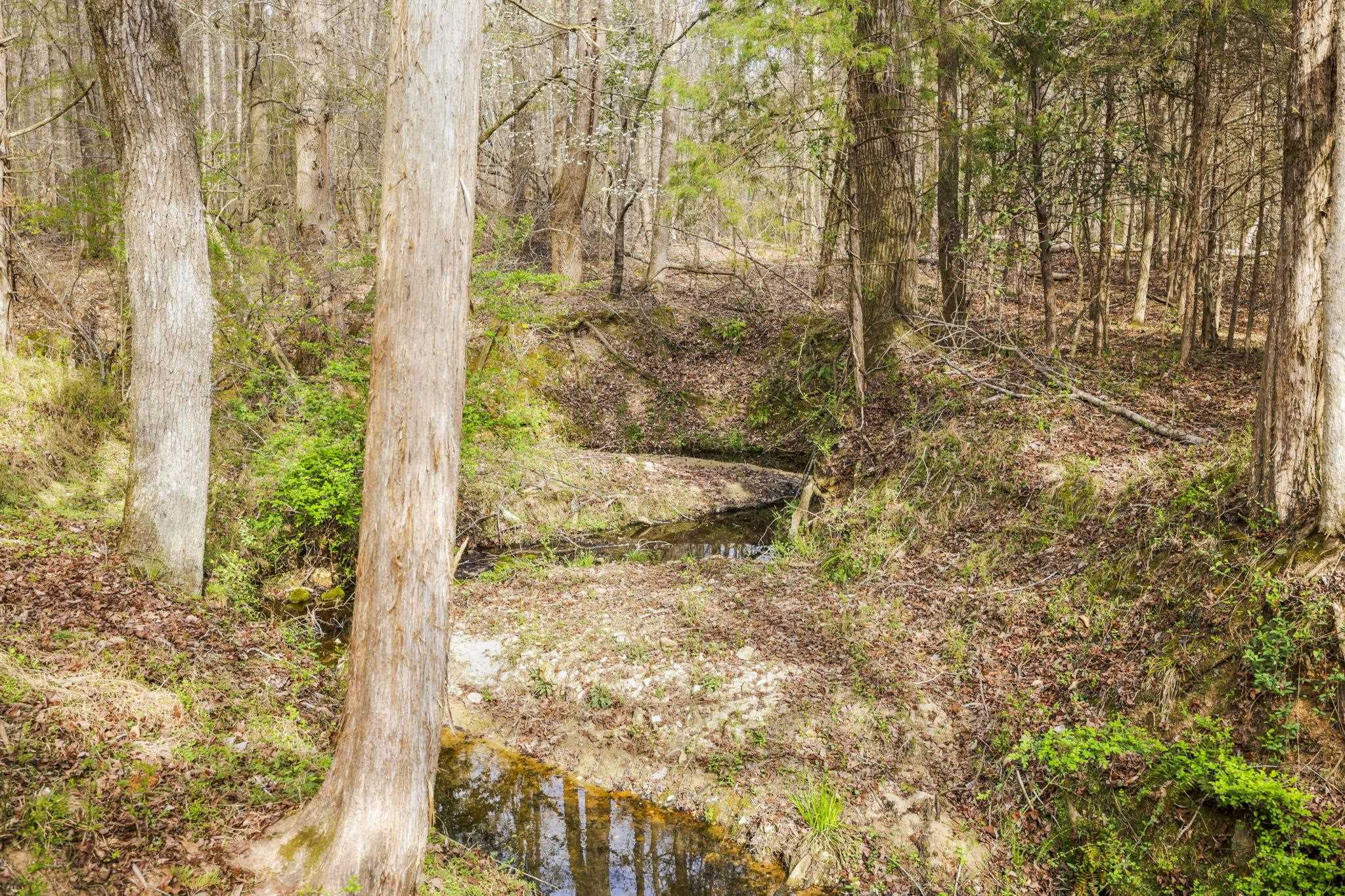 0 New Hope Church Road Enoree, SC 29335 - Photo 24 of 26