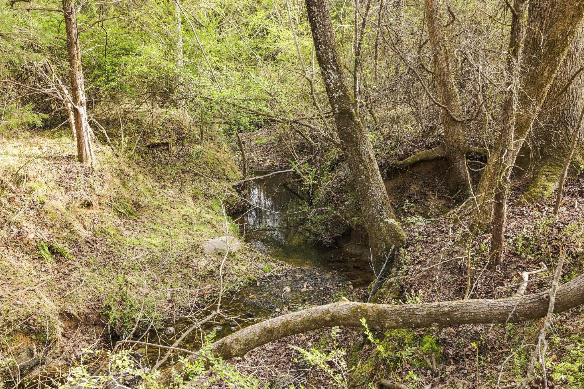 0 New Hope Church Road Enoree, SC 29335 - Photo 5 of 26