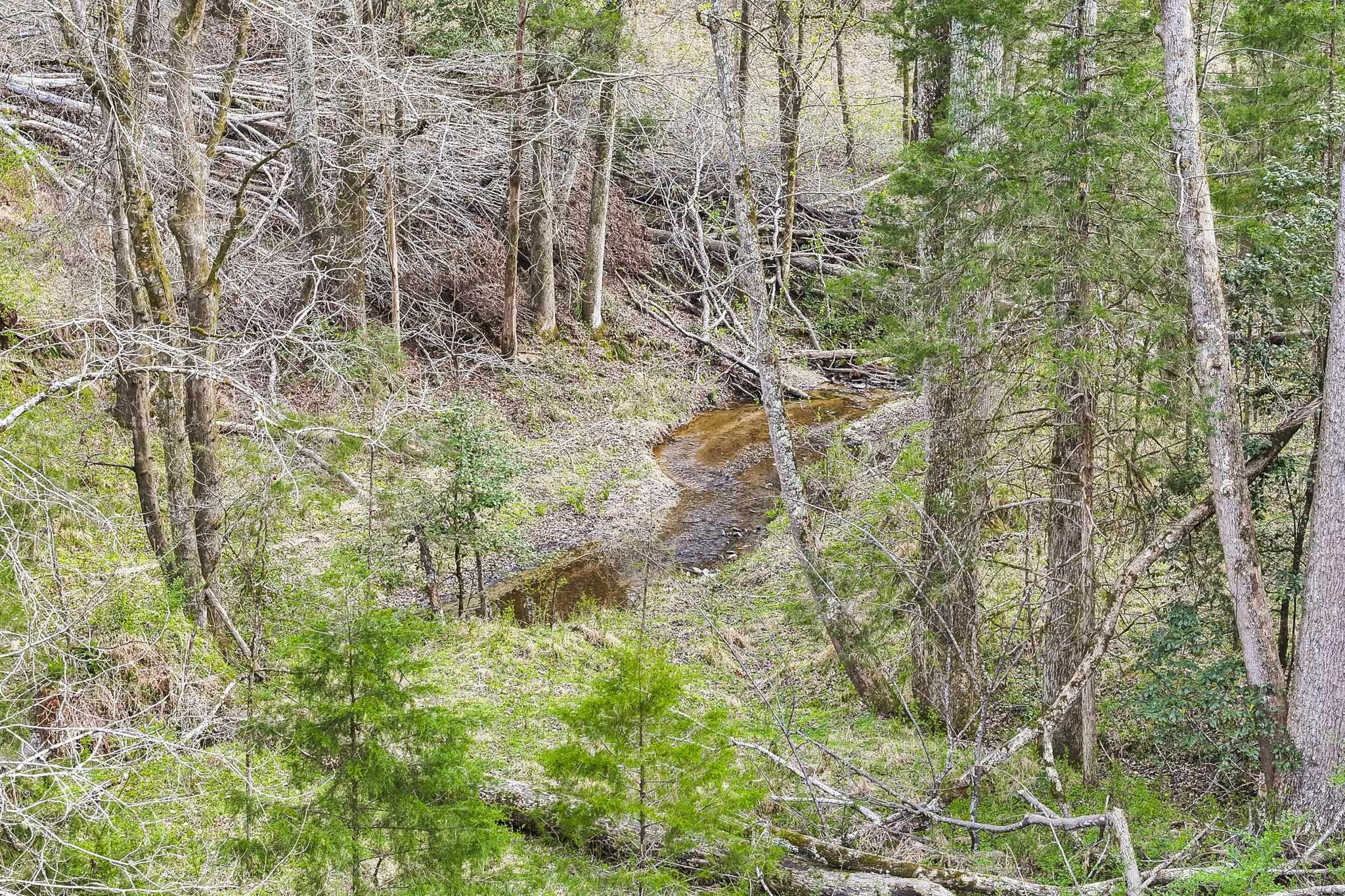 0 New Hope Church Road Enoree, SC 29335 - Photo 6 of 26