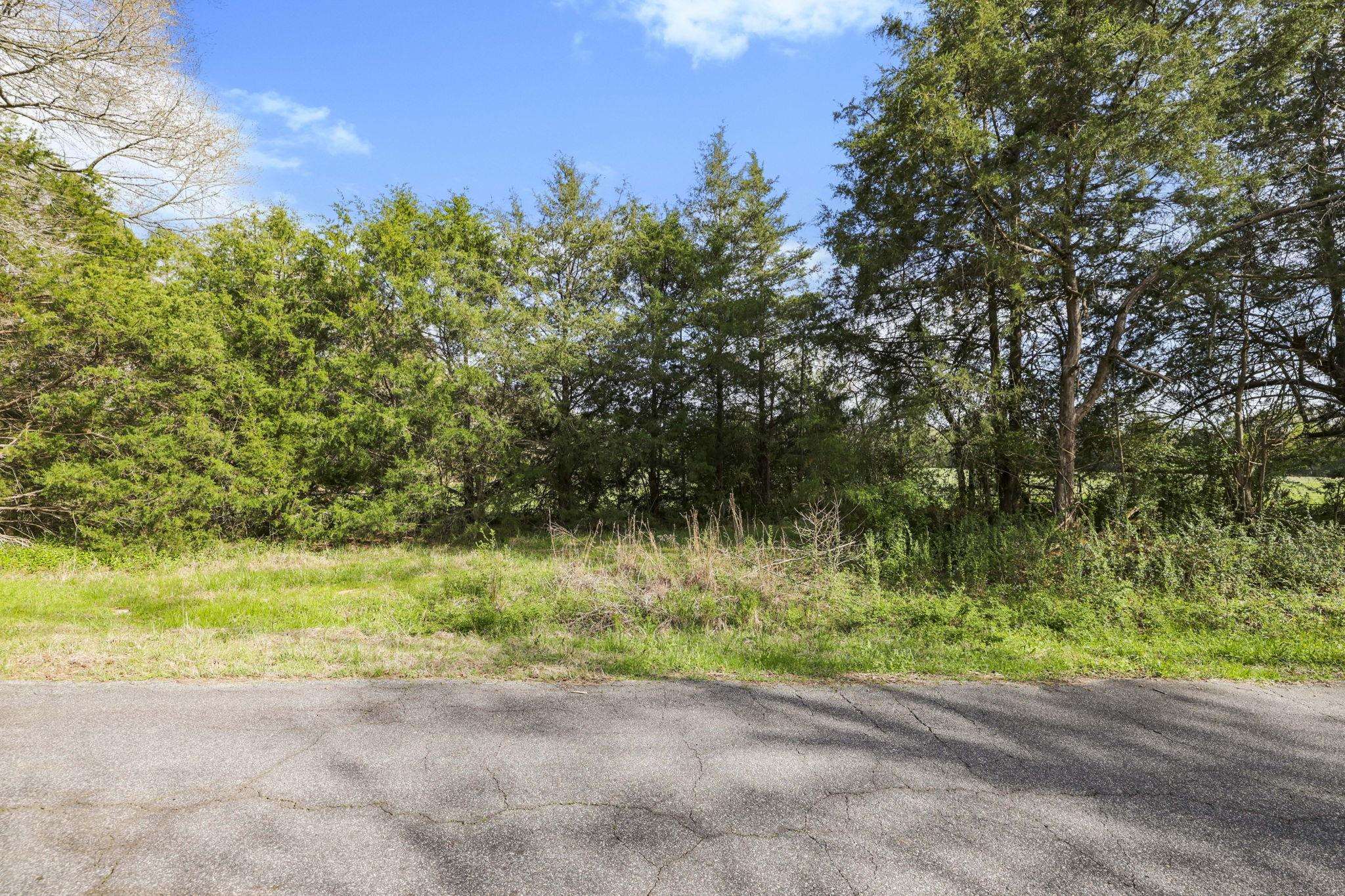 0 New Hope Church Road Enoree, SC 29335 - Photo 10 of 26