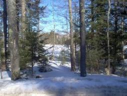 Sw Sw Southwest Sw Moccasin Road Elcho, WI 54428 - Photo 1 of 1