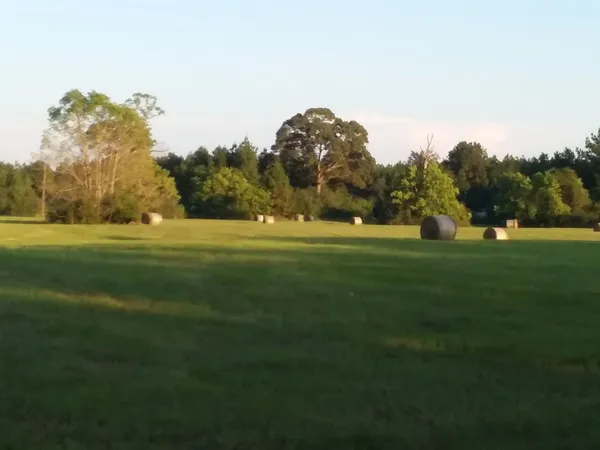 $525,000 | 160 County Road 4472, Warren, TX 77664