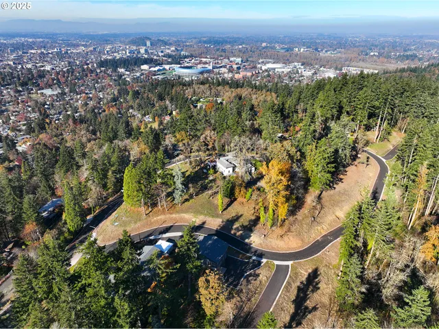 an aerial view of residential house and lake view