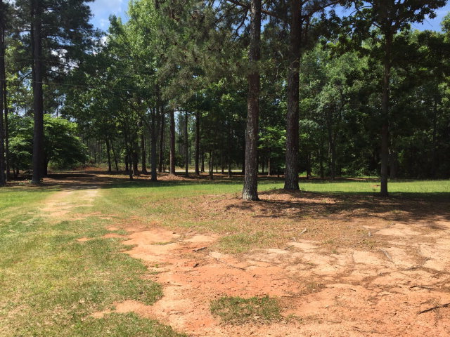 462 Old Rumble Road Forsyth, GA 31029 - Photo 6 of 9 Additional Photo
