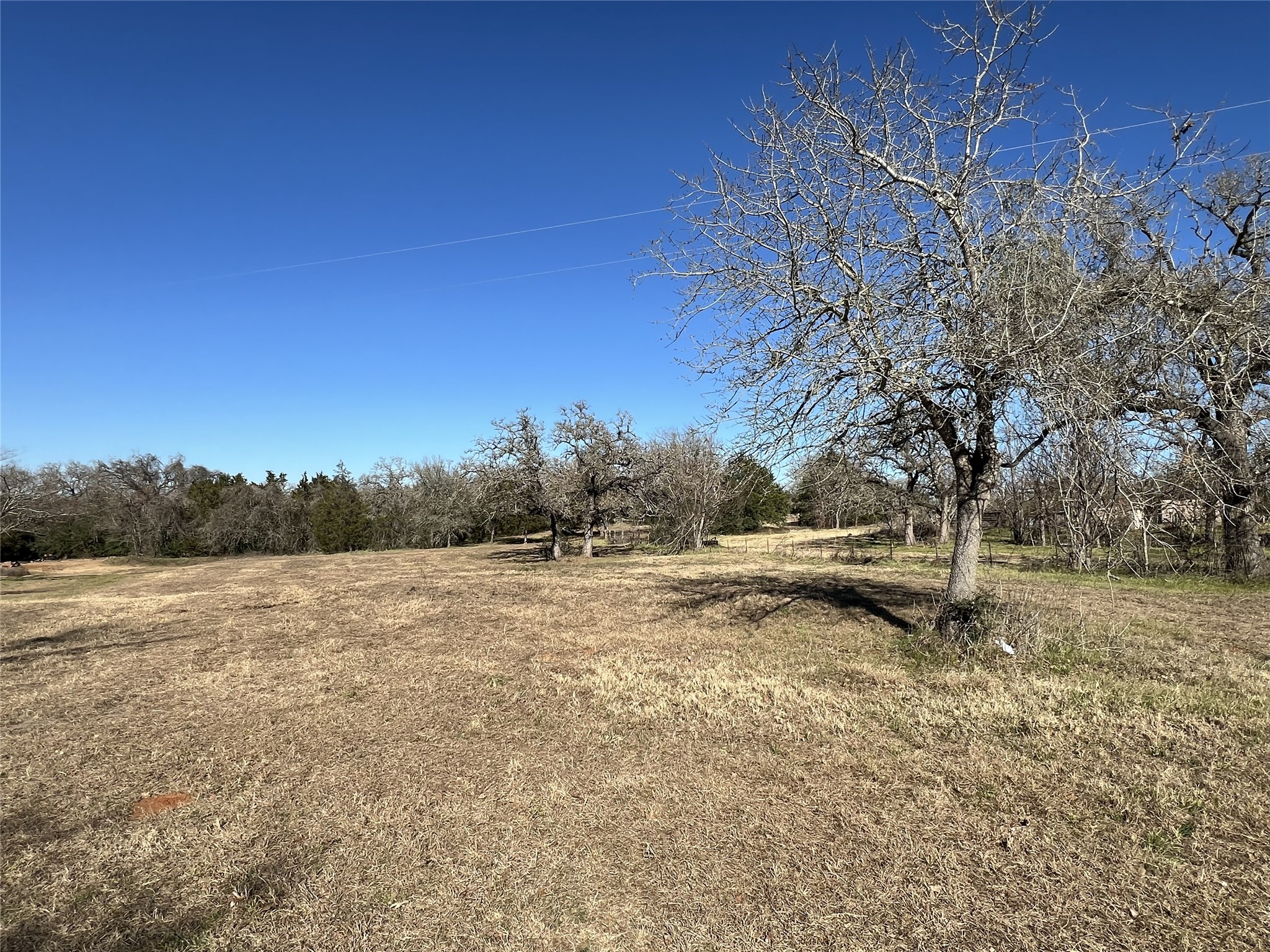Tbd Rosanky Cattle Company Road Smithville, TX 78957 - Photo 7 of 40 a view of a field with an trees
