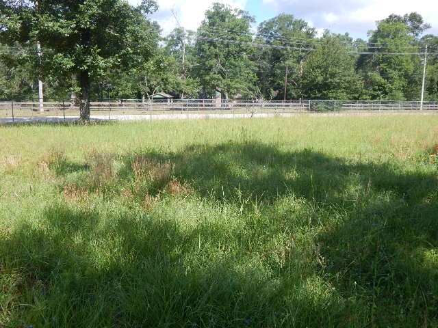 11636 Browder Traylor Road Conroe, TX 77303 - Photo 13 of 13