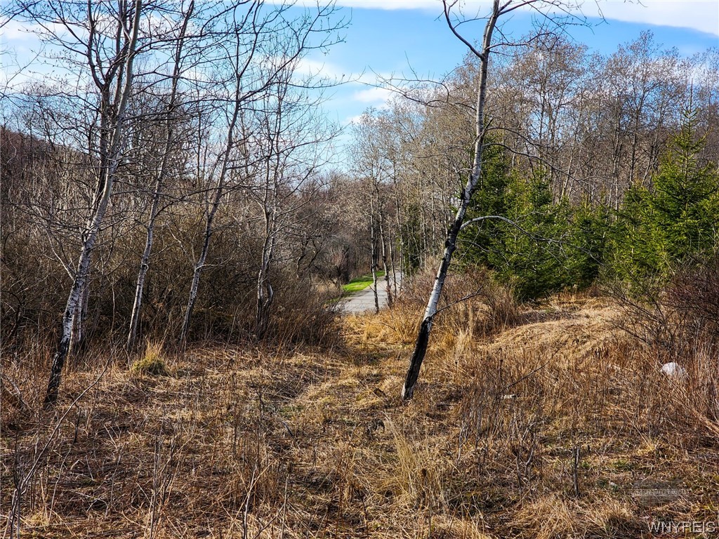 0 Quigg Hollow Road Andover, NY 14806 - Photo 17 of 19