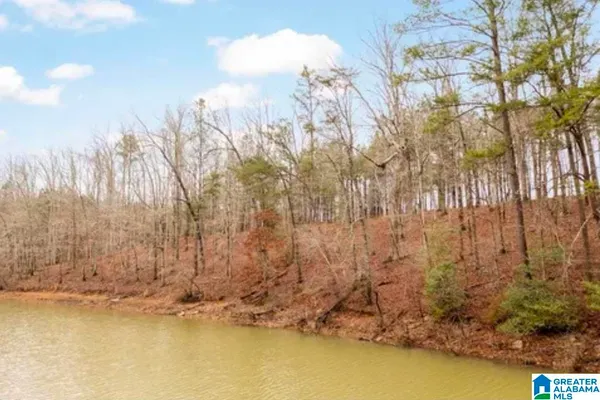$135,000 | Shoreside Drive, Unit 53, Double Springs, AL 35553