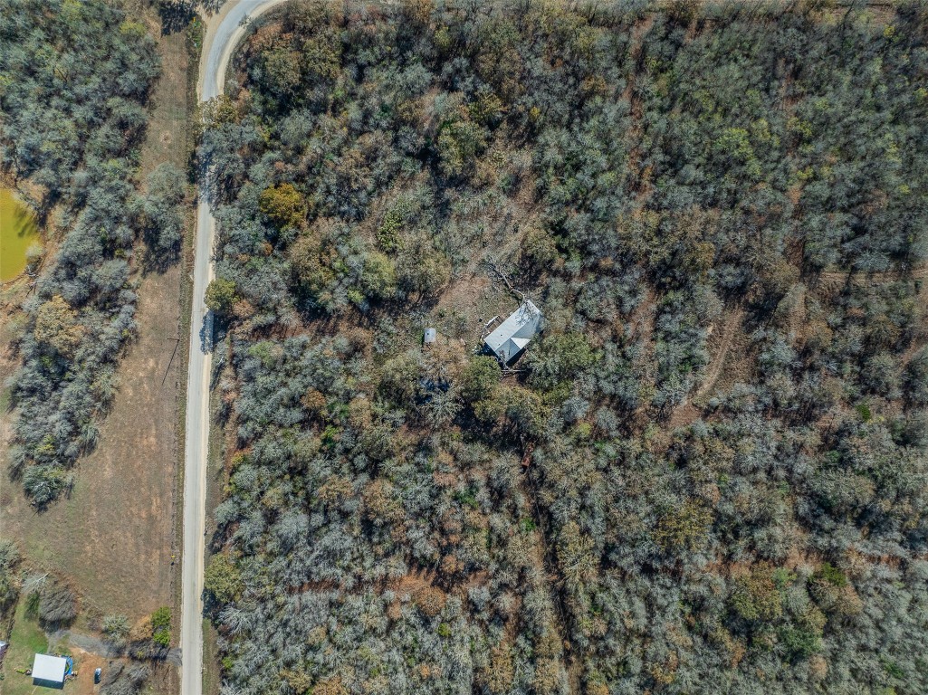 840 Bugtussle Lane Luling, TX 78648 - Photo 4 of 12 a close up of a plant in a yard
