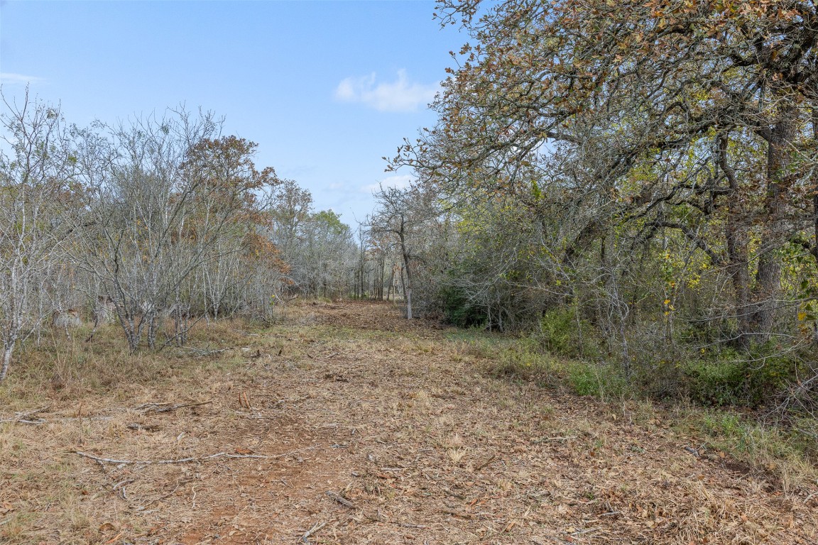 840 Bugtussle Lane Luling, TX 78648 - Photo 7 of 12 a view of a yard with trees in the background
