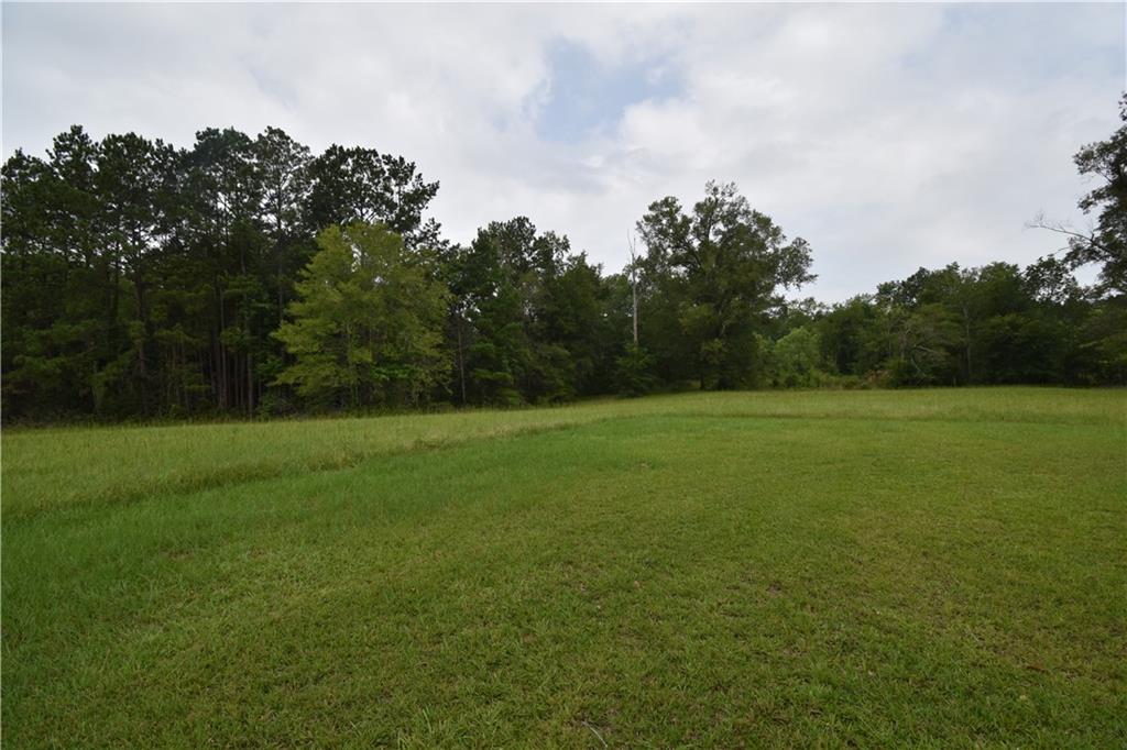919 Lake Road Dry Prong, LA 71423 - Photo 34 of 38 Gallery Image 34