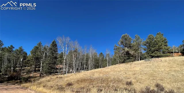 a view of a snow on the side of a road