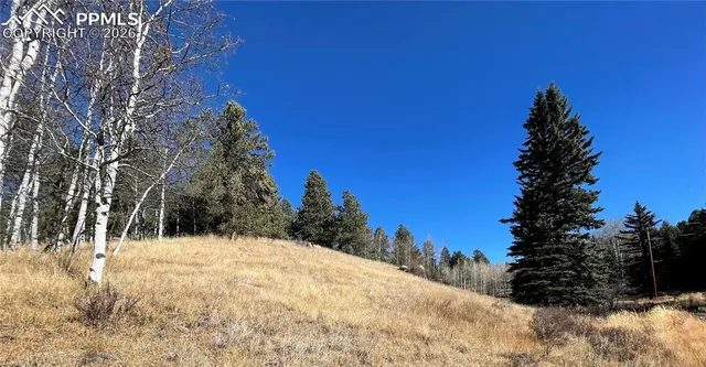 a street view covered with snow