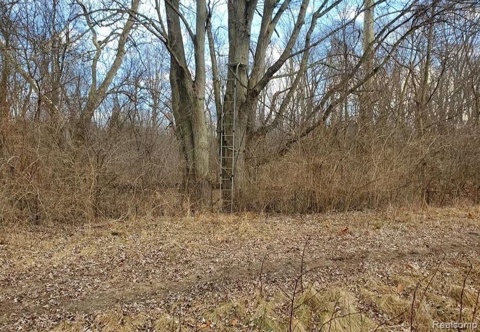 11487 Hitchingham Road Milan, MI 48160 - Photo 19 of 24
