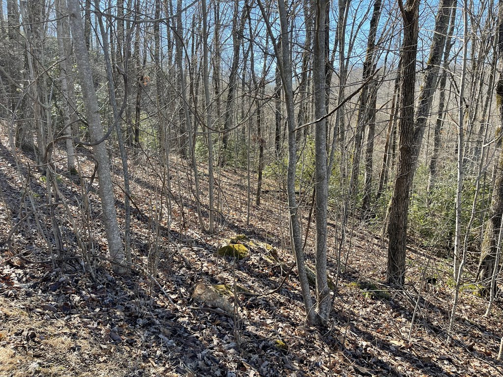 Lot 34 Ash Branch Road Hayesville, NC 28904 - Photo 2 of 6
