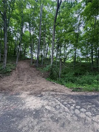 $99,000 | 10 Walker Hl Road, Stockport, OH 43787