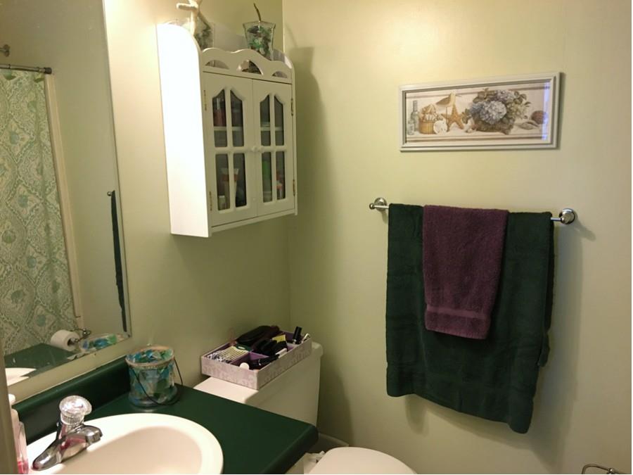 1008 Jacksons Valley Road Hermitage, TN 37076 - Photo 14 of 22 a bathroom with a sink mirror and toilet
