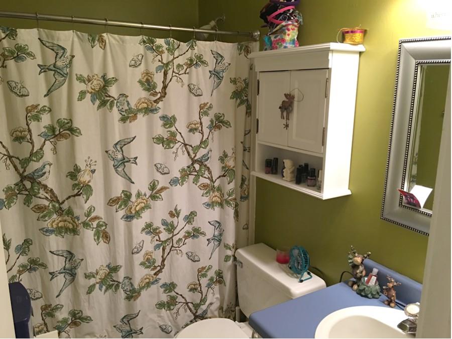 1008 Jacksons Valley Road Hermitage, TN 37076 - Photo 18 of 22 a bathroom with a toilet and a shower curtain