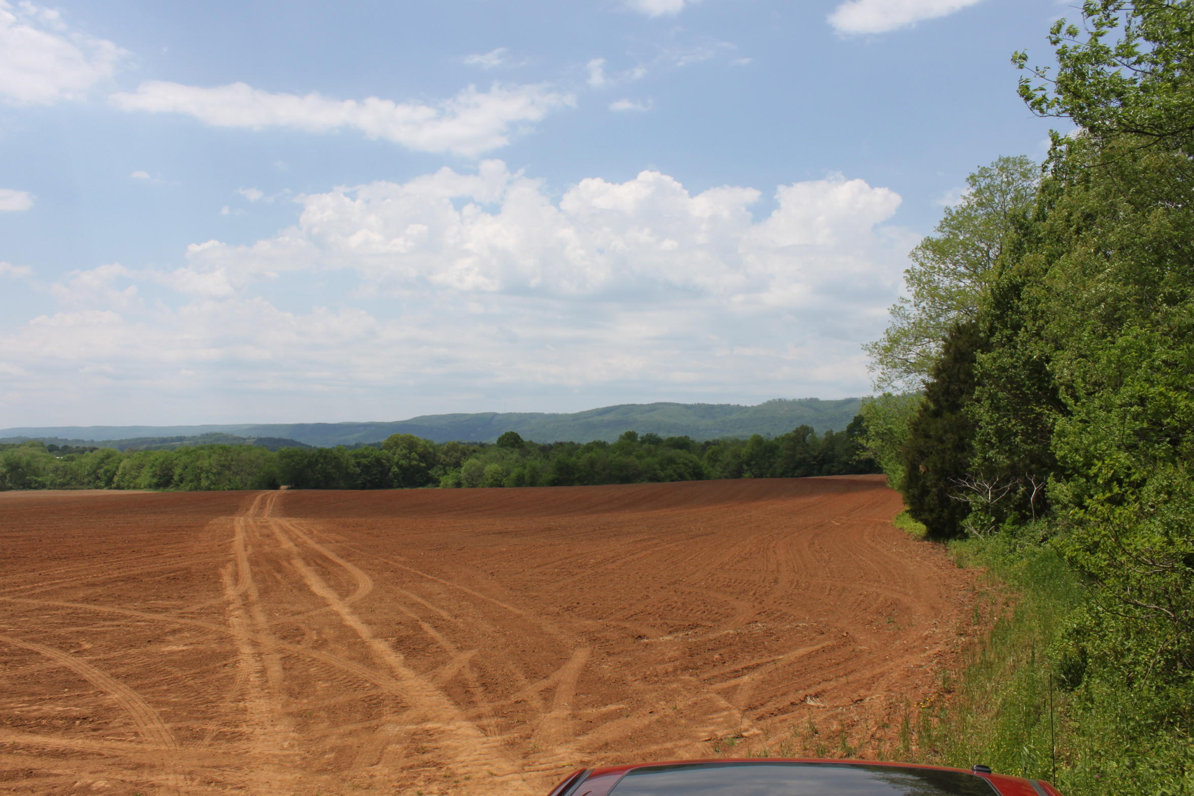 Burton Road Pikeville, TN 37367 - Photo 1 of 3 IMG_6977
