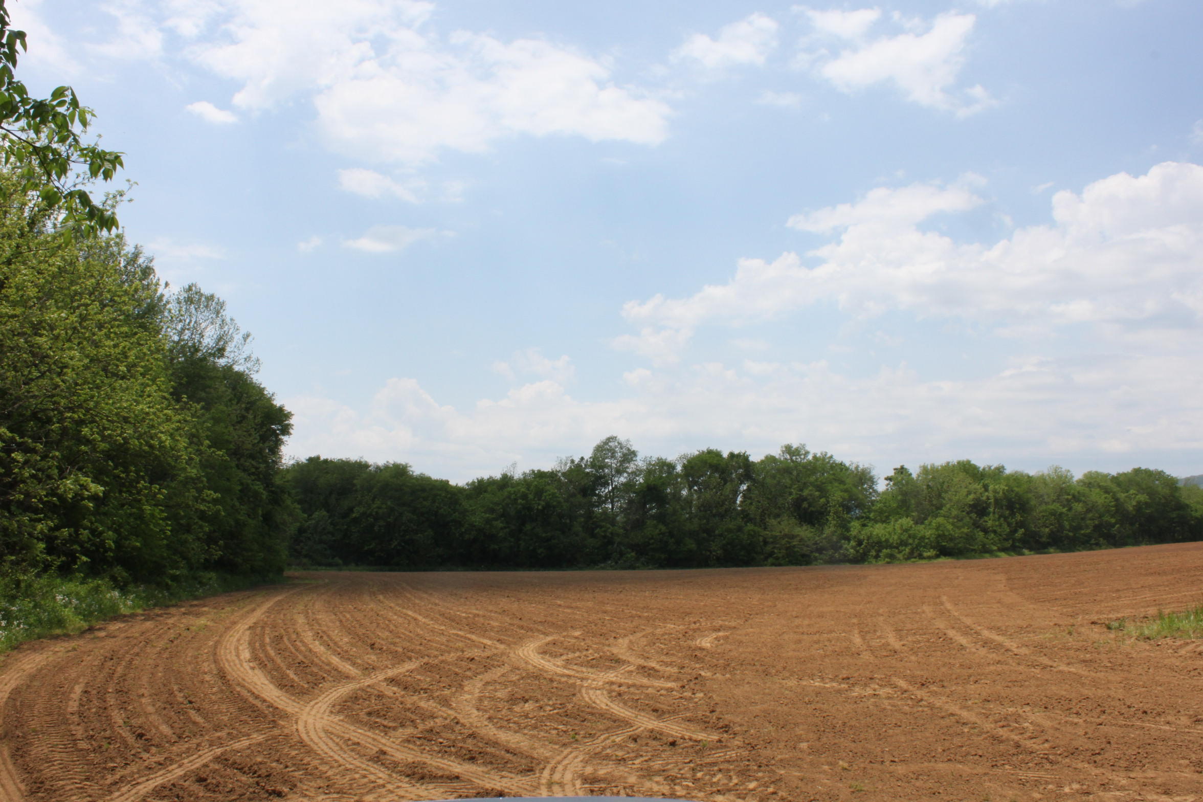 Burton Road Pikeville, TN 37367 - Photo 2 of 3 IMG_6980