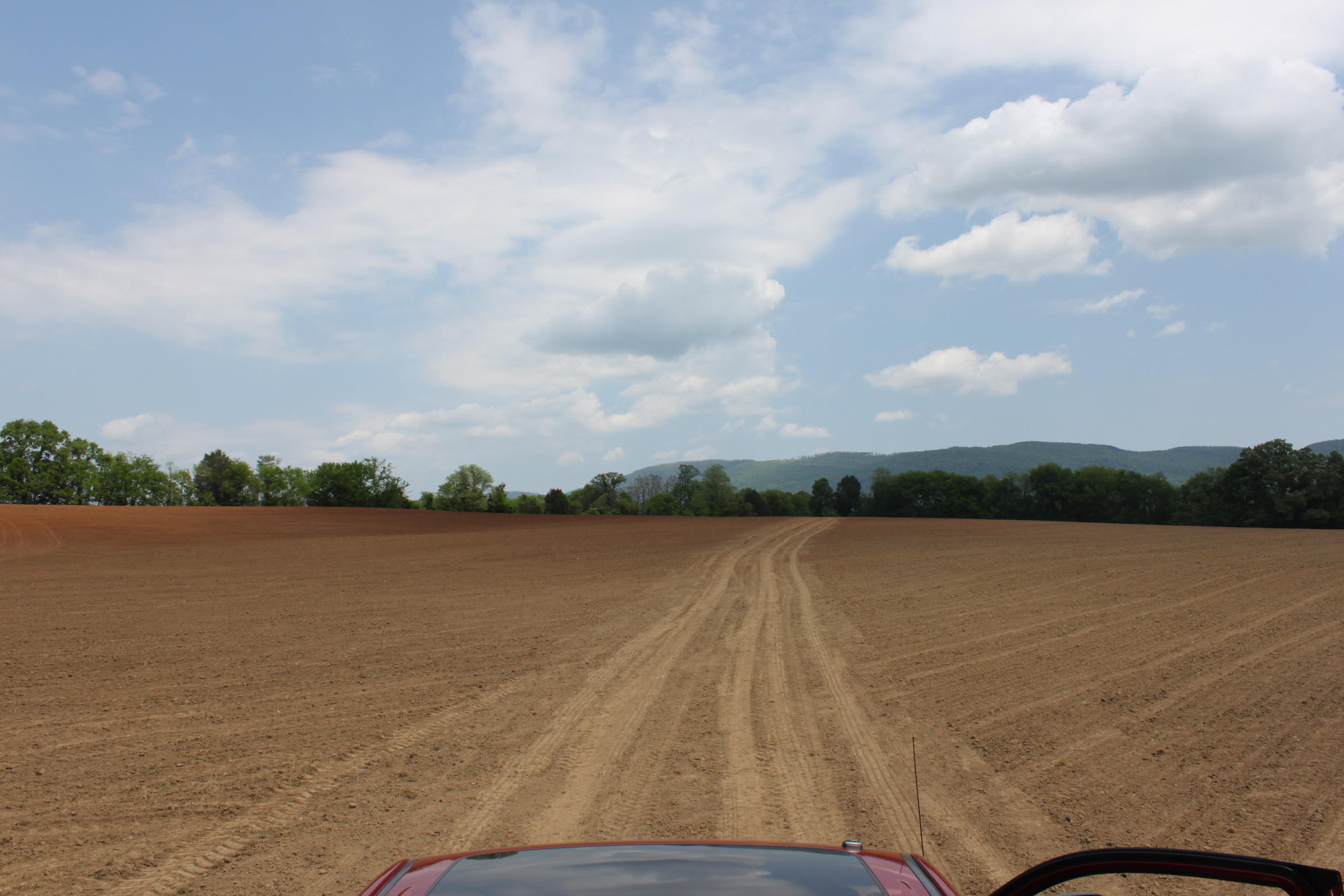 Burton Road Pikeville, TN 37367 - Photo 3 of 3 IMG_6983