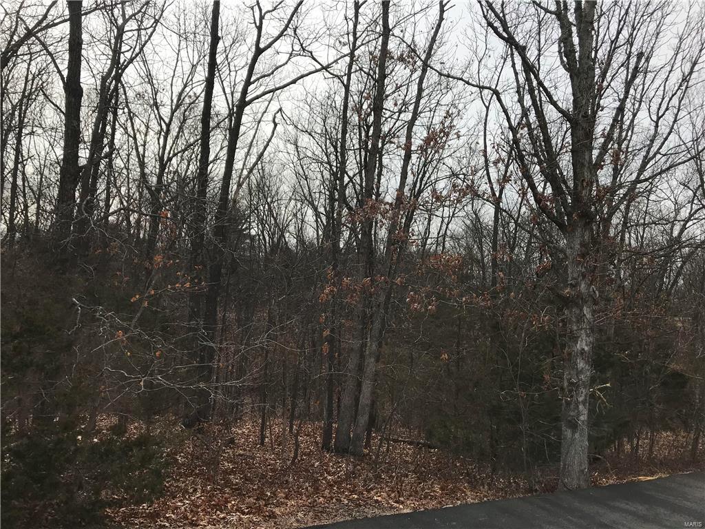 0 3.26 Acres - Terry Road Augusta, MO 63332 - Photo 2 of 6 Gallery Image 2