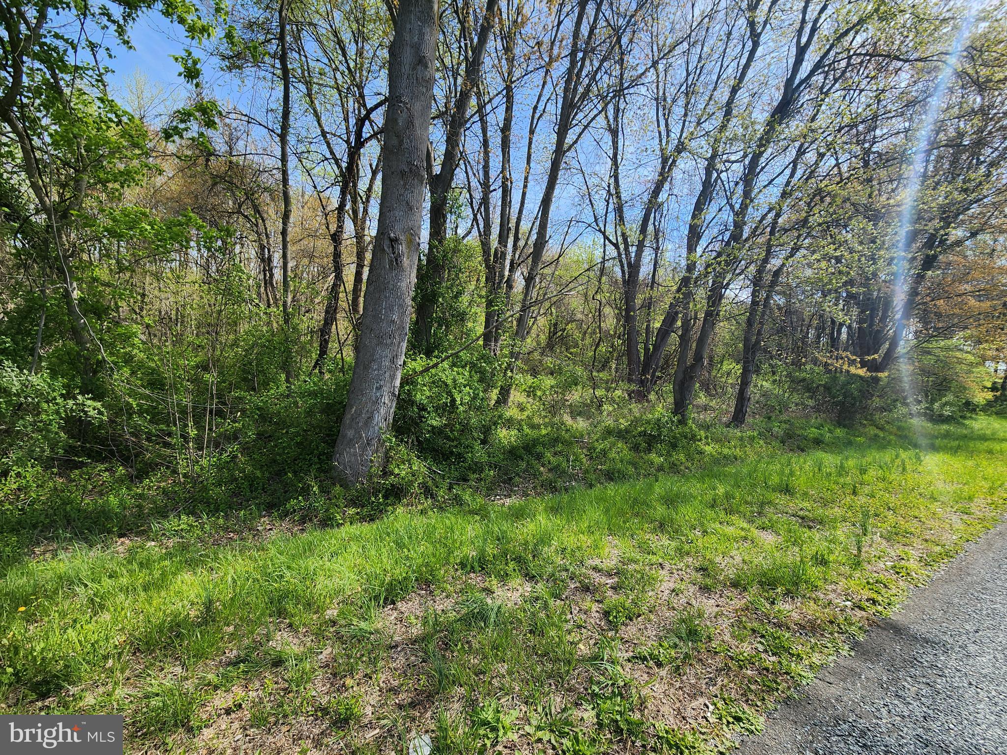 Towhee Road Chestertown, MD 21620 - Photo 2 of 4