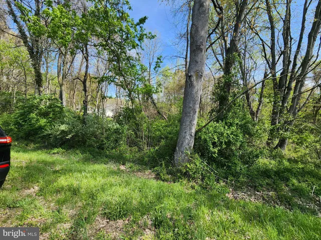 $5,000 | Towhee Road, Chestertown, MD 21620